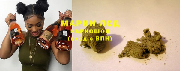 PSILOCYBIN Беломорск