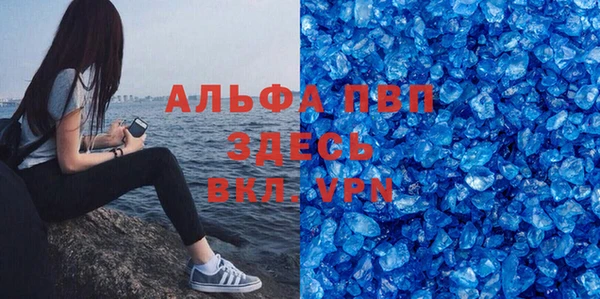 PSILOCYBIN Беломорск