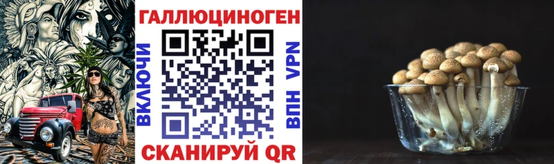 Галлюциногенные грибы MAGIC MUSHROOMS  Богородицк 