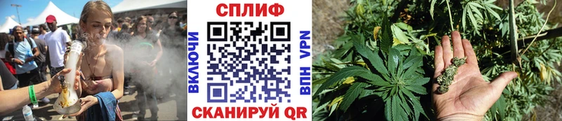 Бошки марихуана марихуана  ОМГ ОМГ как зайти  Богородицк  где купить наркоту 